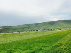 -青海湖国家重点风景名胜区