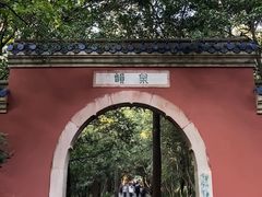 -灵谷景区