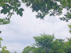 -鹅湖玫瑰文化园
