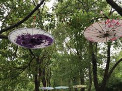 -溱湖国家湿地公园