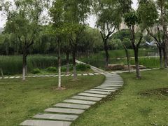 -暨阳湖生态园