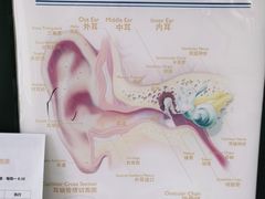 -海之声助听器无锡旗舰中心·儿童验配中心