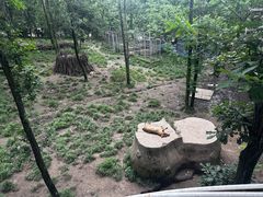 -哈尔滨北方森林动物园