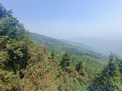 -大围山国家森林公园
