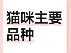 -申普宠物医院(总院)