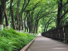 -上海市保健医疗中心