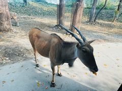 -北京野生动物园