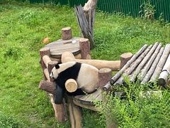 -沈阳森林动物园