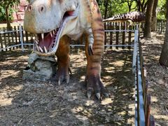 -上海海湾国家森林公园