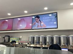 -雾与山茶(大禹城店)