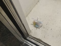-奥体体育中心游泳馆