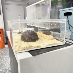 -15C7 男士理发馆 烫染专业店