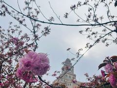 -中央公园(苏州工业园区)