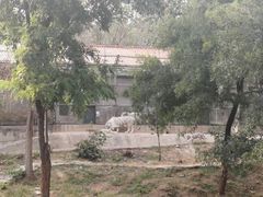 -石家庄市动物园