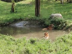-济南野生动物世界