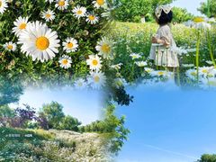 -汉长安城未央宫国家考古遗址公园