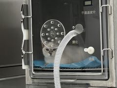 -荔康动物医院(康王北路店)