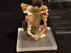 -清华大学艺术博物馆