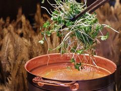 鸡汤萝卜苗-湘颂·湘味家宴(侨鑫店)