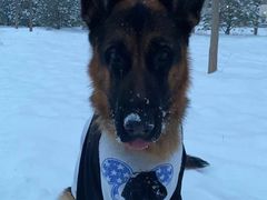 -中国移动(昌平营业厅)