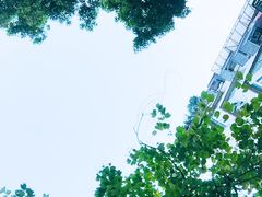 -拾壹cafe·工作室