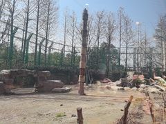 -上海野生动物园老虎餐厅