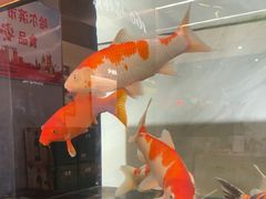 -160烧烤(香坊店)