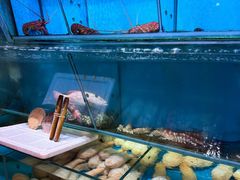 -鲜入围煮花胶鸡海鲜火锅