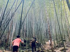 -莫干山风景区