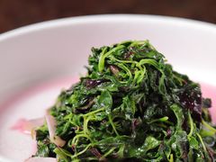 -西郊5号·Maggie 5