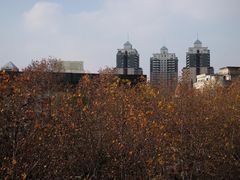 -伯衡55·吉品轩(乌鲁木齐南路店)