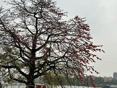 -怡海公园(桂城街道)