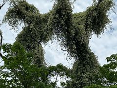 -树山生态村