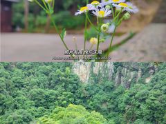 -天台山景区