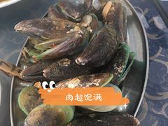 -七鲜渔港美食餐厅(巽寮湾海景店)