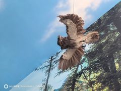 -房山世界地质公园博物馆