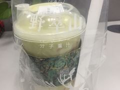 -野萃山·潮汕厚果汁(十亩地店)