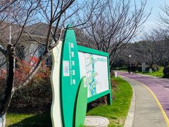 -贡湖湾湿地公园