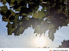 -蠡湖中央公园