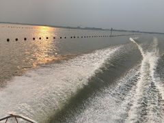 -渔娘蟹庄(阳澄湖莲花岛店)