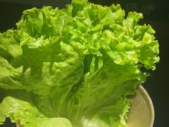 -九田家黑牛烤肉料理(宽城万达店)