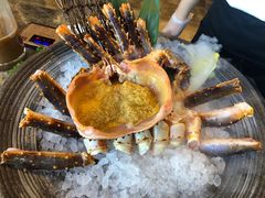 帝王蟹-日进一片海.生腌海鲜火锅.宵夜烧烤(三里屯总店)