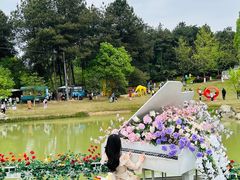 -铁山坪森林公园