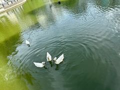 -苏州河梦清园环保主题公园