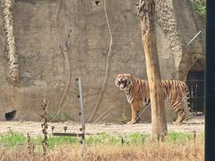 -秦皇岛野生动物园