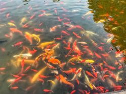 -大望京儿童游乐场