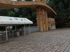-五营国家森林公园