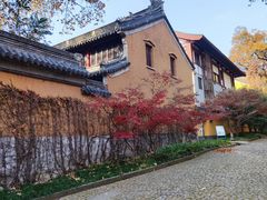-灵谷景区