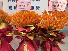 -北京科技大学游泳馆