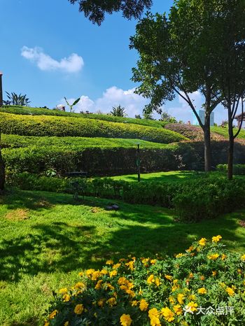 cop15花坛展#神鸟共话@春城之邀